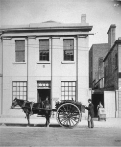 Brewery Horse & Cart